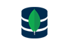 Learn Node MongoDB