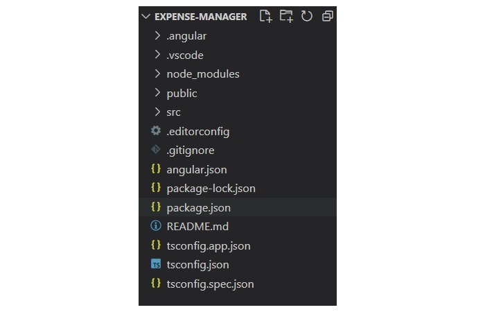 Angular Project Structure