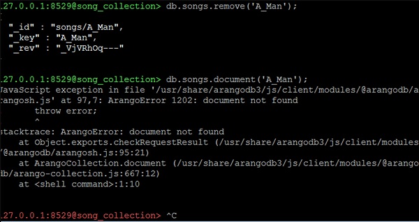 Exception Error Output Screen