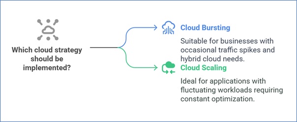 Which One Should You Choose?
