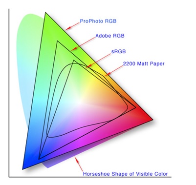The Human Perception of Color
