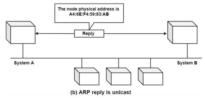 ARP Reply