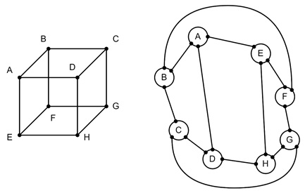 Polyhedra and Graph Theory