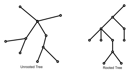 Unrooted Trees in Discrete Mathematics