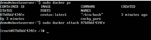Docker Attach