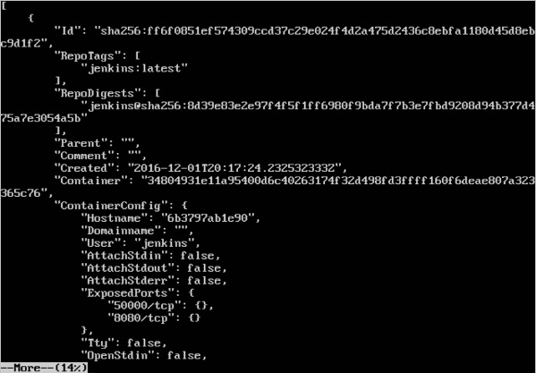 Docker Inspect Output