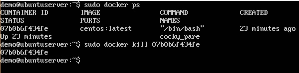 Docker Kill
