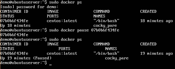 Docker Pause