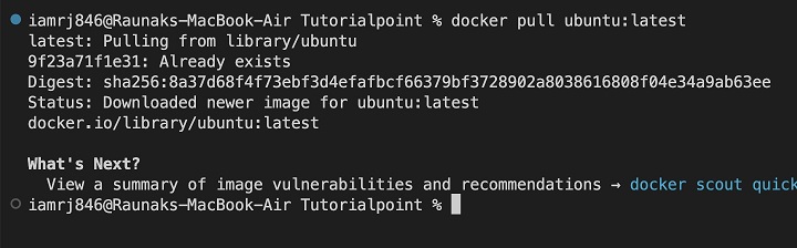 Pulling the Docker Image 1
