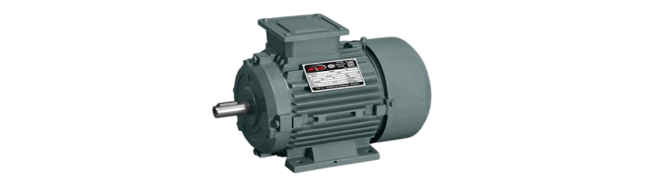 Three-Phase Induction Motor