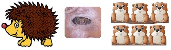 Gilligans Post-conventional Level