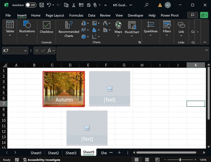 Add SmartArt Graphics with Image 5