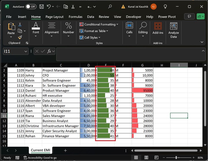 Custom Data Bars in Excel 2