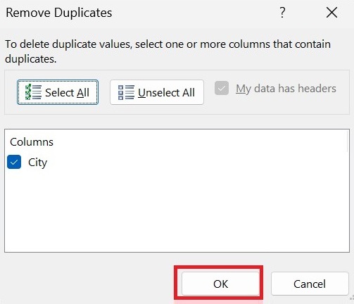 Remove Duplicates in Excel Shortcut 1