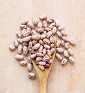 Pinto Beans