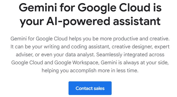 Gemini Code Assist for Google Cloud