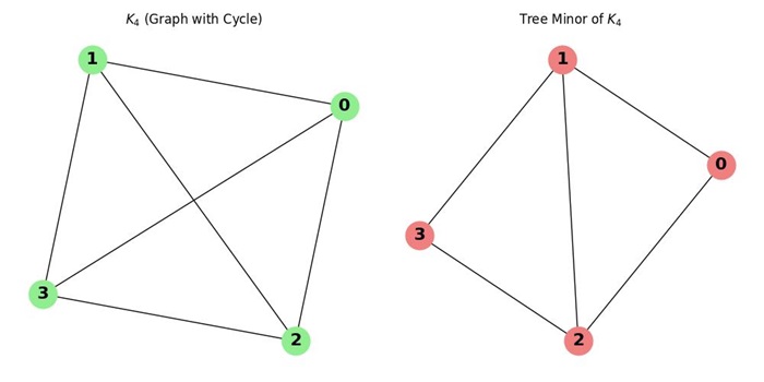 Tree Graph Minor