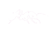 Apache Ant