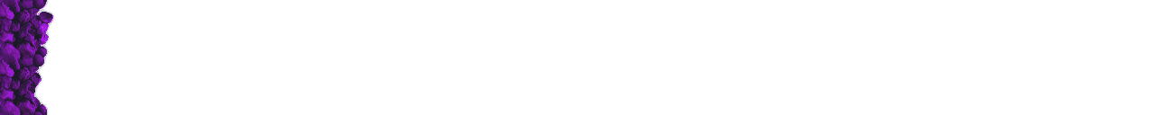 Web Designing, Bars & Lines 42