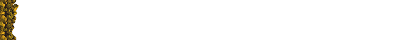 Web Designing, Bars & Lines 60