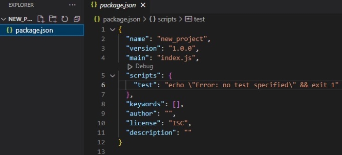 Example of package.json file