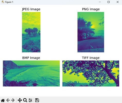 Different Grayscale Formats