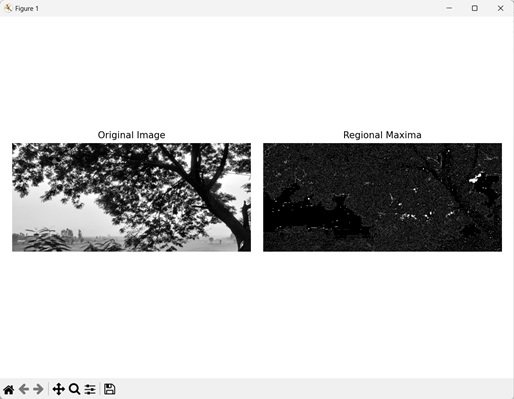 Regional Maxima Image