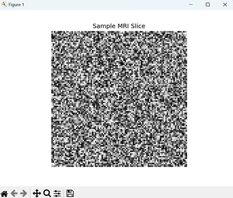 Displaying MRI Slice