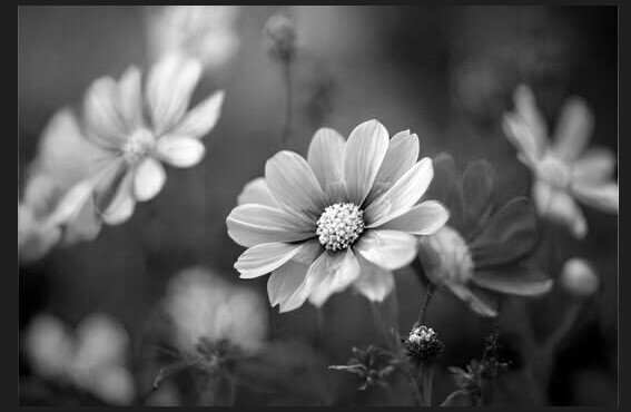 image_sequences_ex3 gif