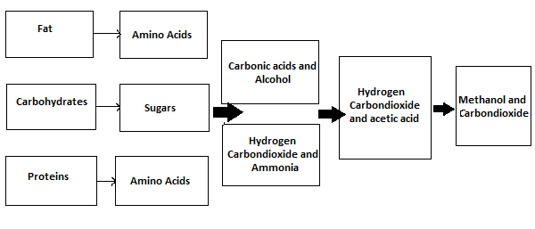 Anaerobic Digestion