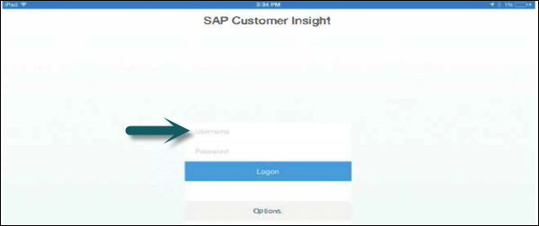 Sap Customer Insight