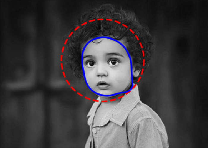 active contour model