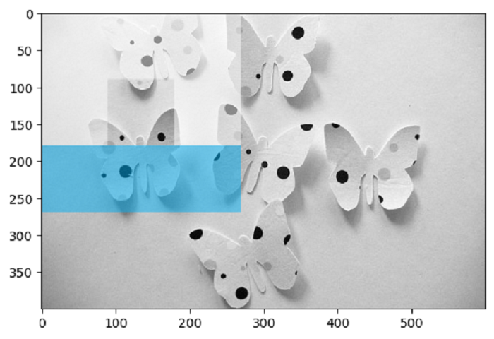 Multi-Block Local Binary Pattern