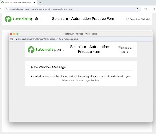 Selenium Windows Tabs 4