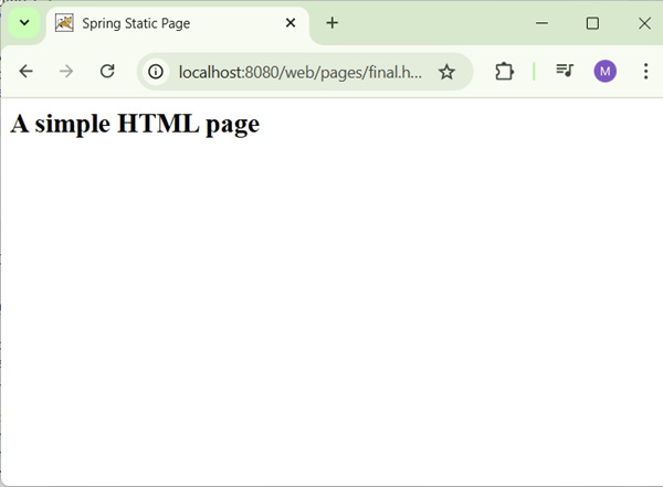 Spring static page Result