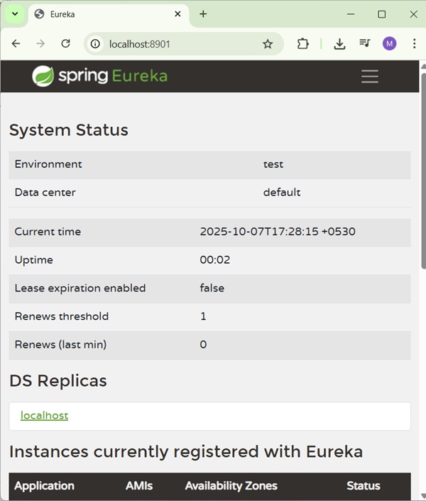 Dashboard of Eureka Server 2