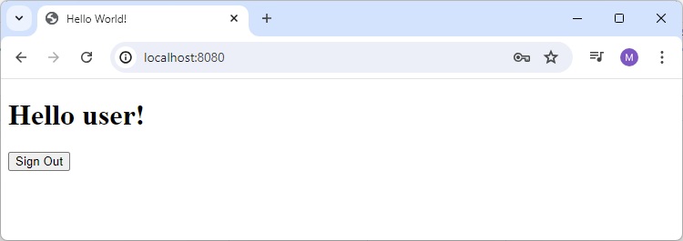 Custom Login Form Success