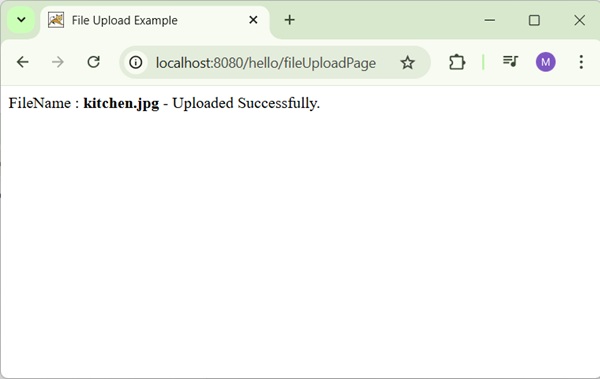 Spring File Upload Result