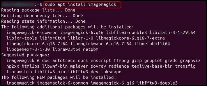 animate Command Linux 1