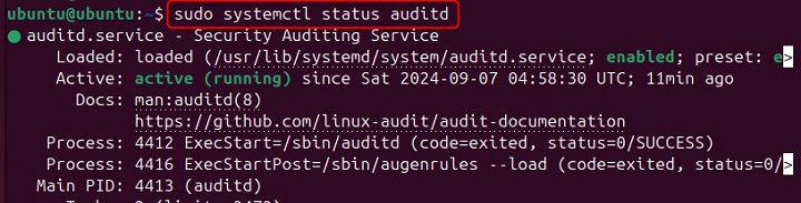 Check The Status of The auditd