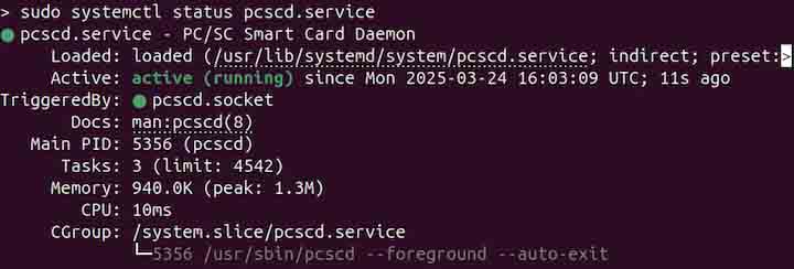 Checking the pcscd Service Status