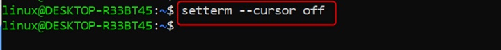 Disabling Terminal Cursor using setterm