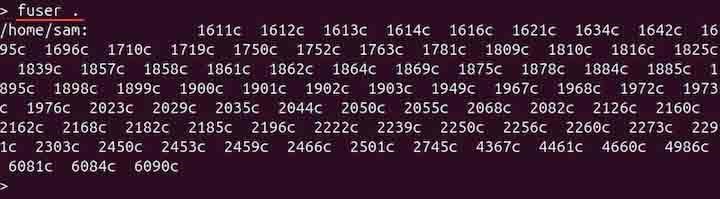 Displaying Processes in Specific Directory
