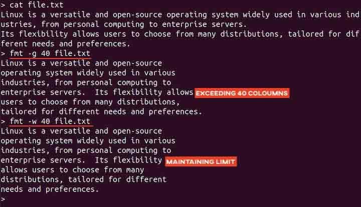 fmt Command in Linux6