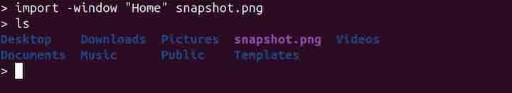 import Command in Linux5