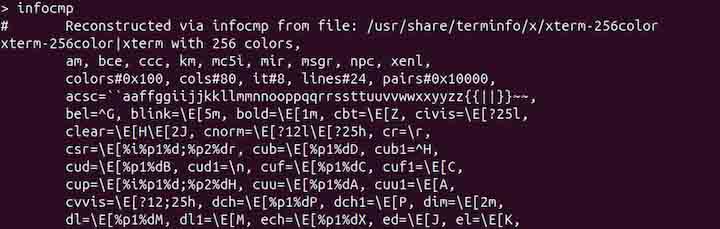 infocmp Command in Linux1