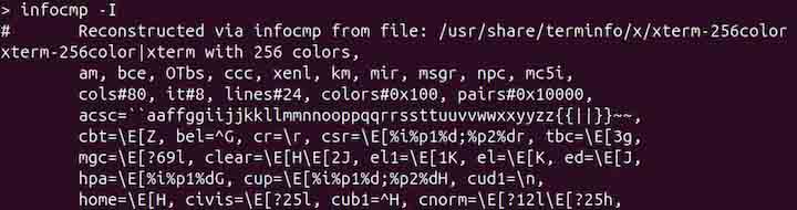 infocmp Command in Linux3