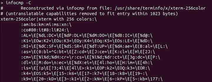 infocmp Command in Linux4