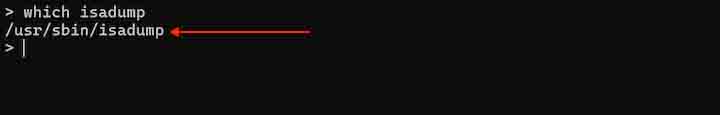 isadump Command in Linux1