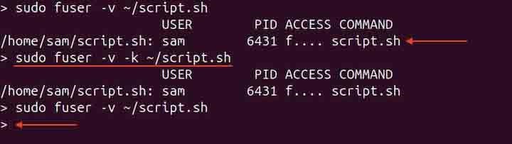 Killing Specific Process Using fuser Command